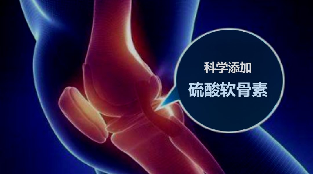 添加软骨素.png